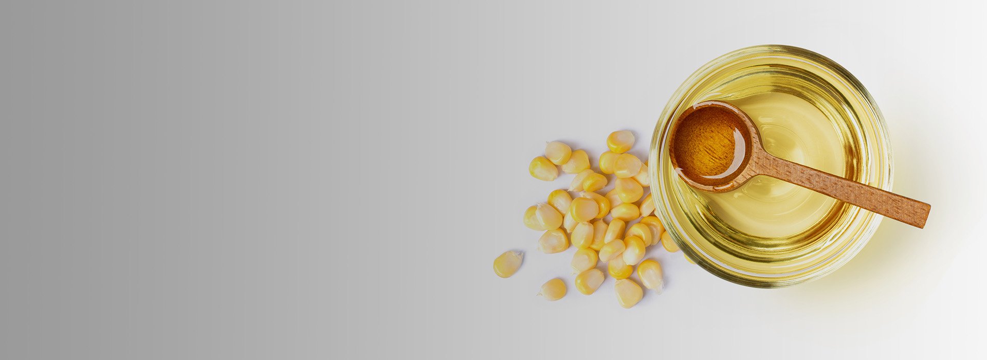 Highassay GMP high-quality Phytosterols , plant sterols_