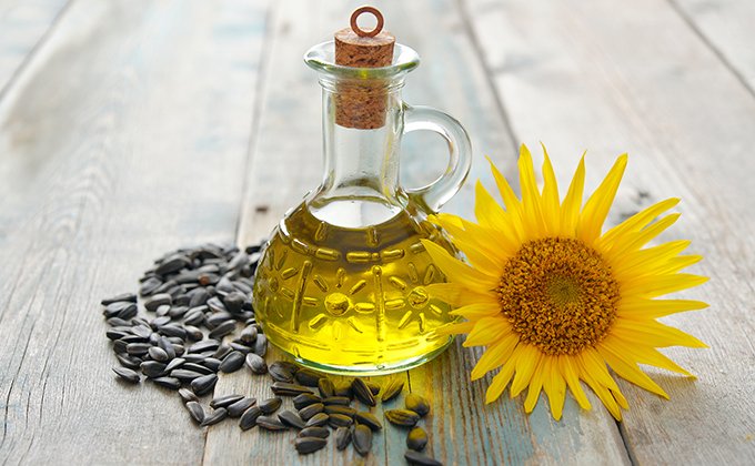 Introduction to phytosterols