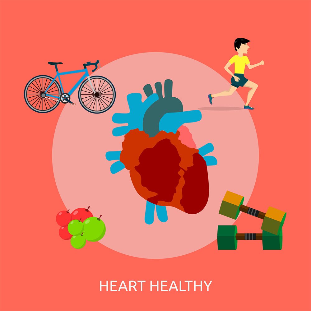 Maintain cardiovascular and heart health.