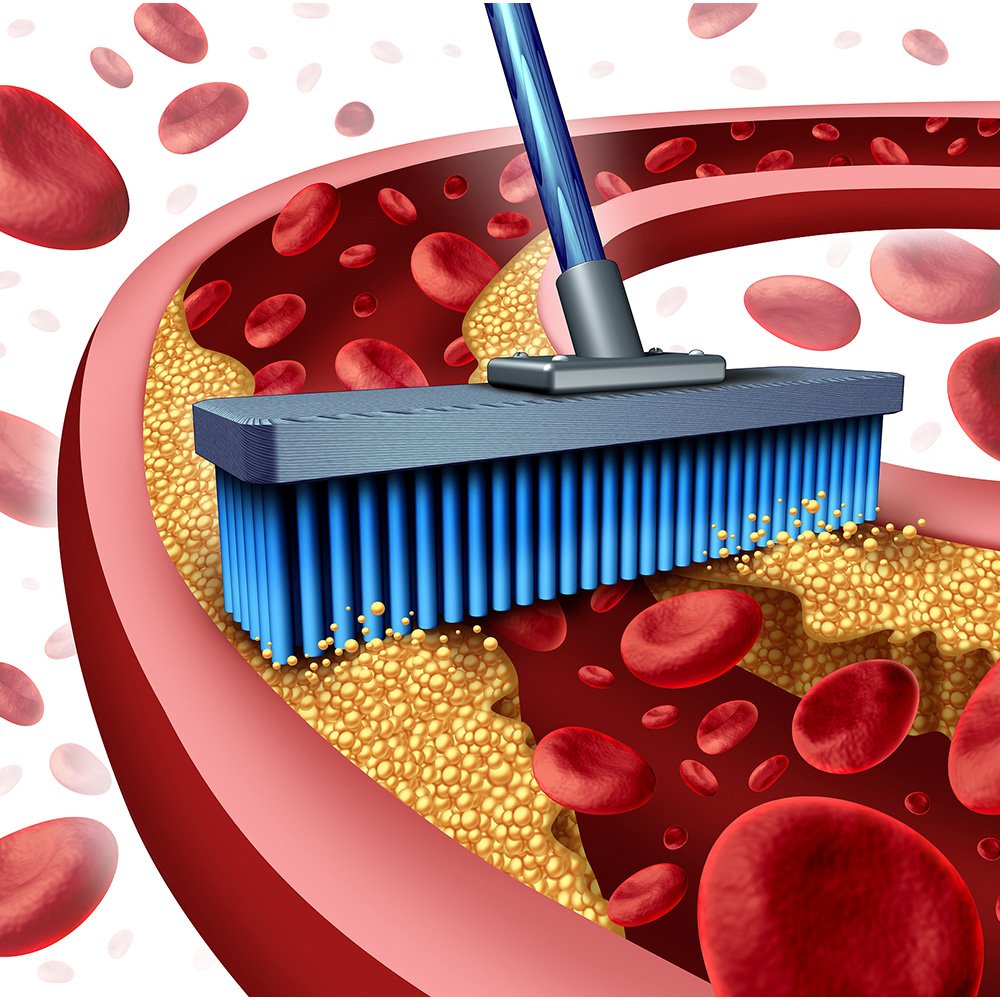 Phytosterols inhibits cholesterol