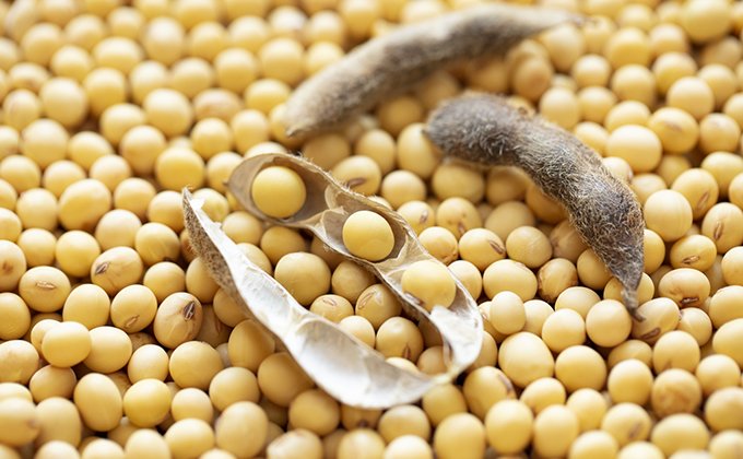 Synthetic Vitamin E
