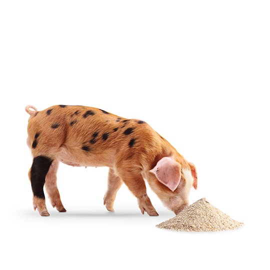 Highassay natural Vitamin E applicaiton in feed