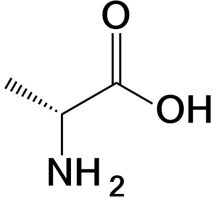 Alanine structure Ala A