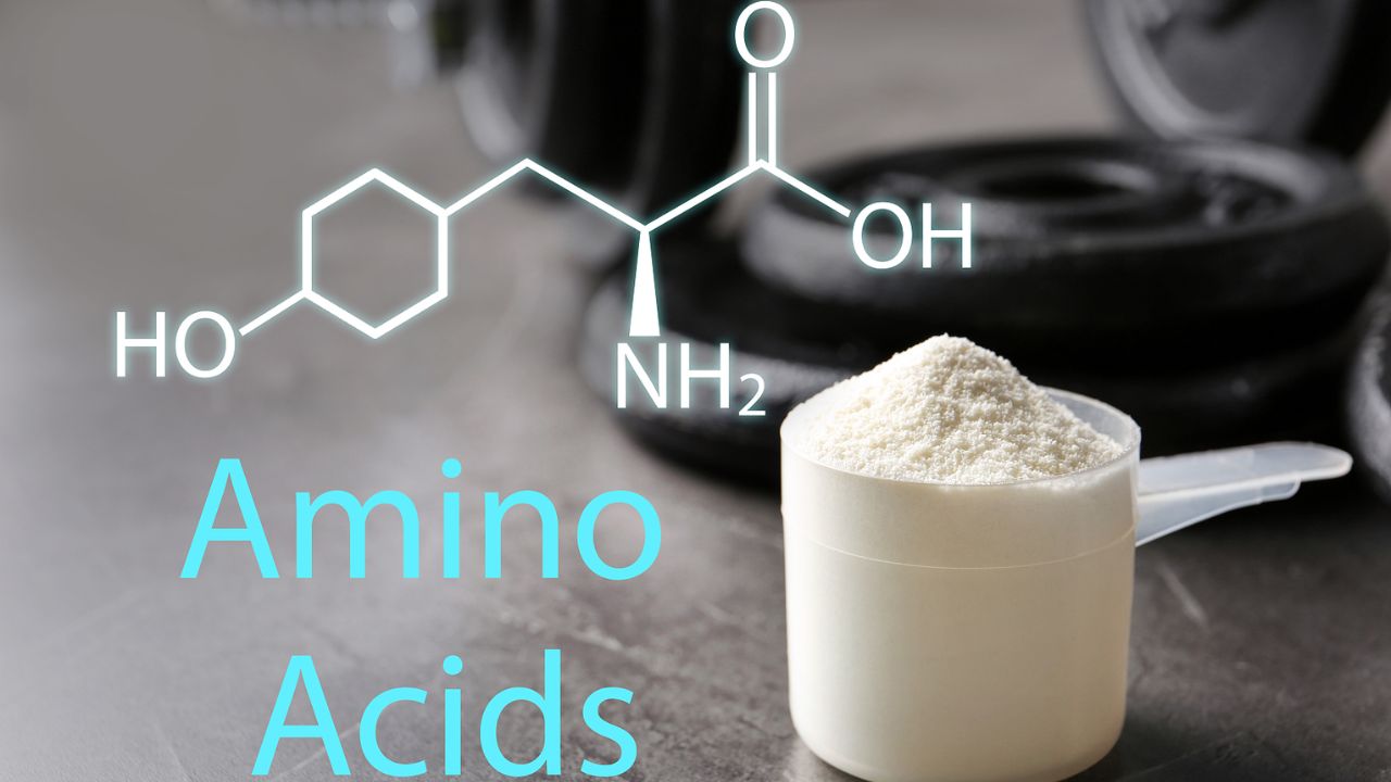 Animo acids