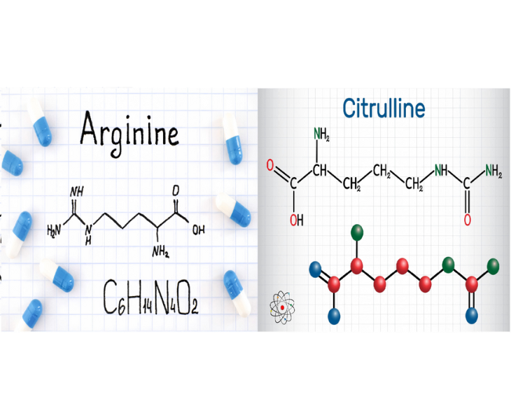 Arginine vs. Citrulline