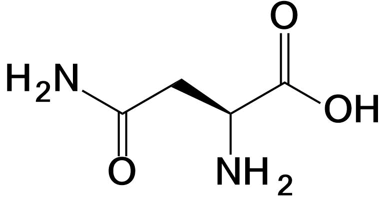 Asparagine structure Asn N