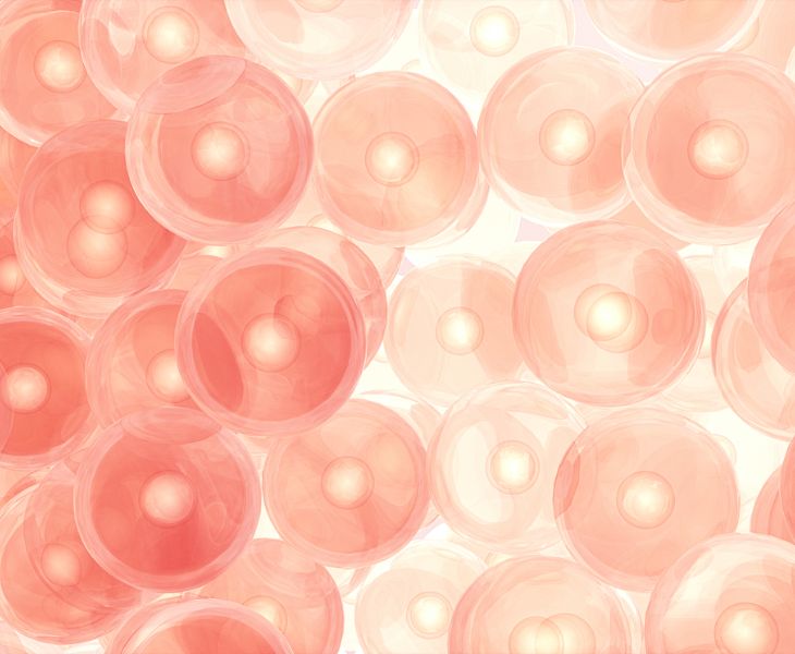 Benefits of L-Arginine