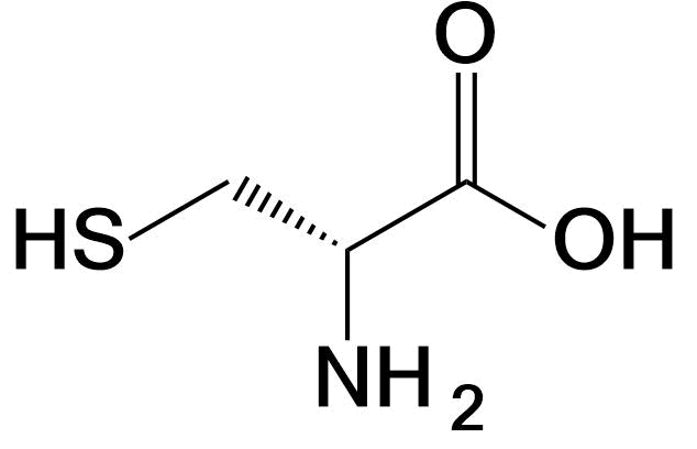 Cysteine structure Cys C