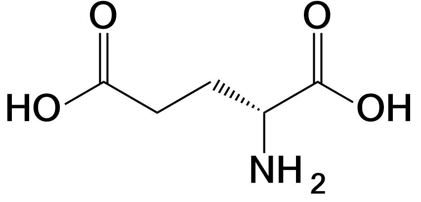 Glutamic acid structure Glu E