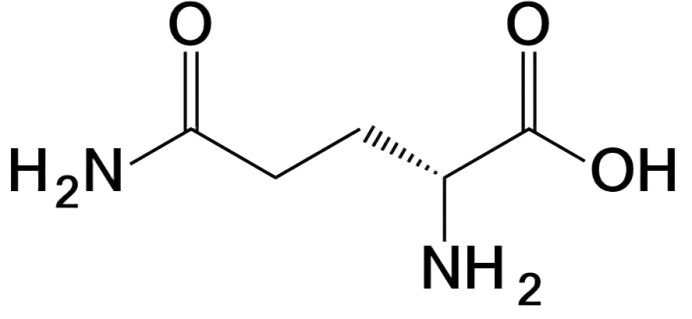 Glutamine structure Gln Q