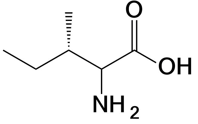 Isoleucine structure Ile I