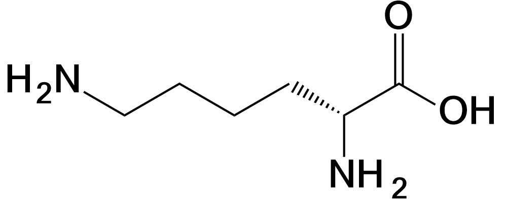 Lysine structure Lys K