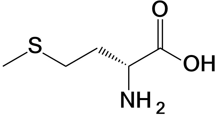 Methionine structure Met M
