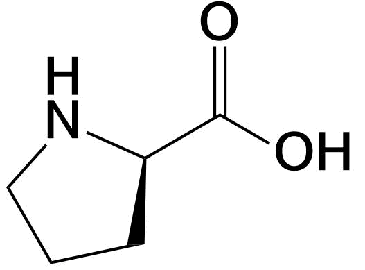 Proline structure Pro P