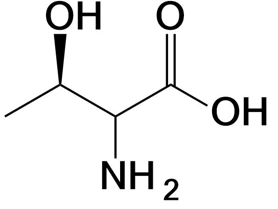 Threonine structure Thr T