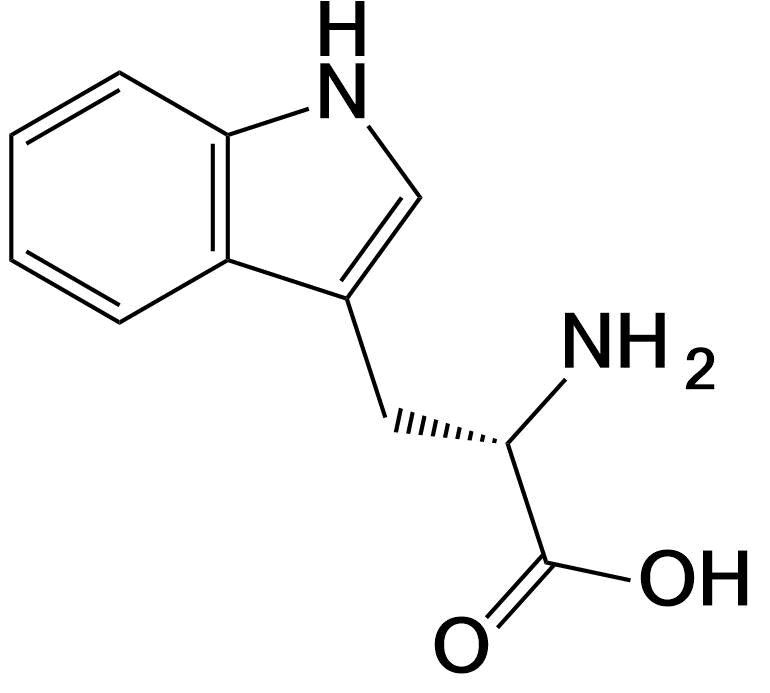 Tryptophan structure Trp W