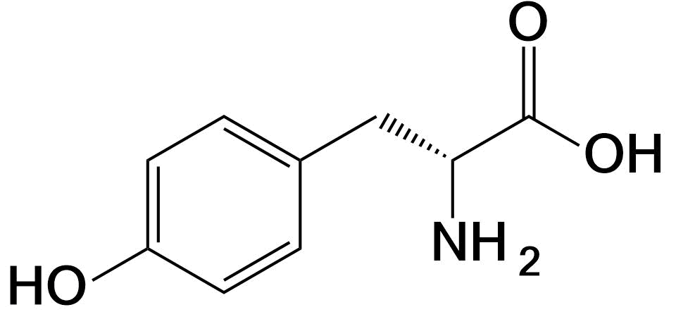 Tyrosine structure Tyr Y