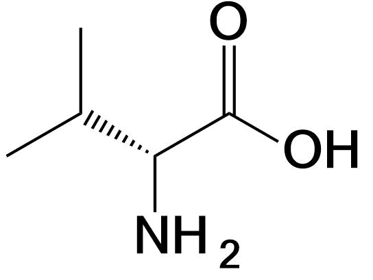 Valine structure Val V