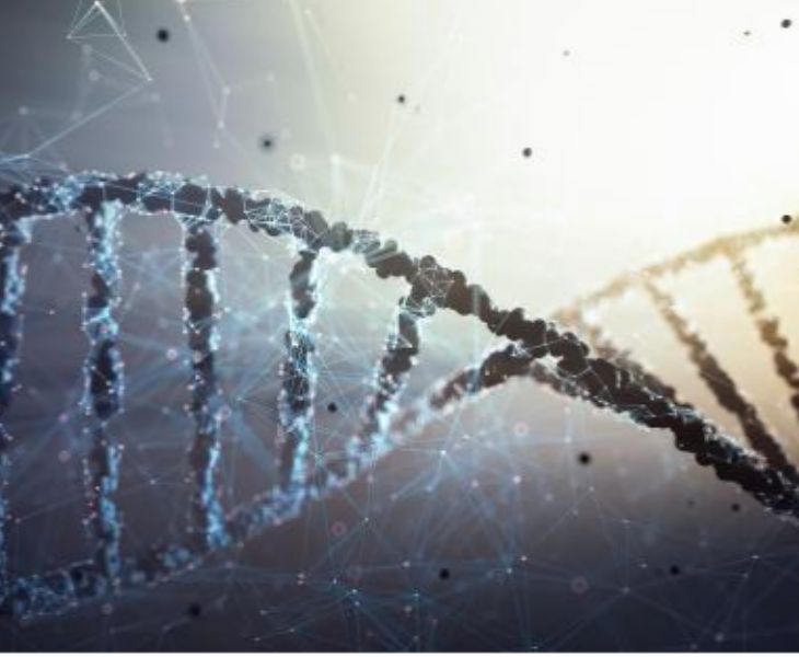 Benefits-of-Tripeptide-29