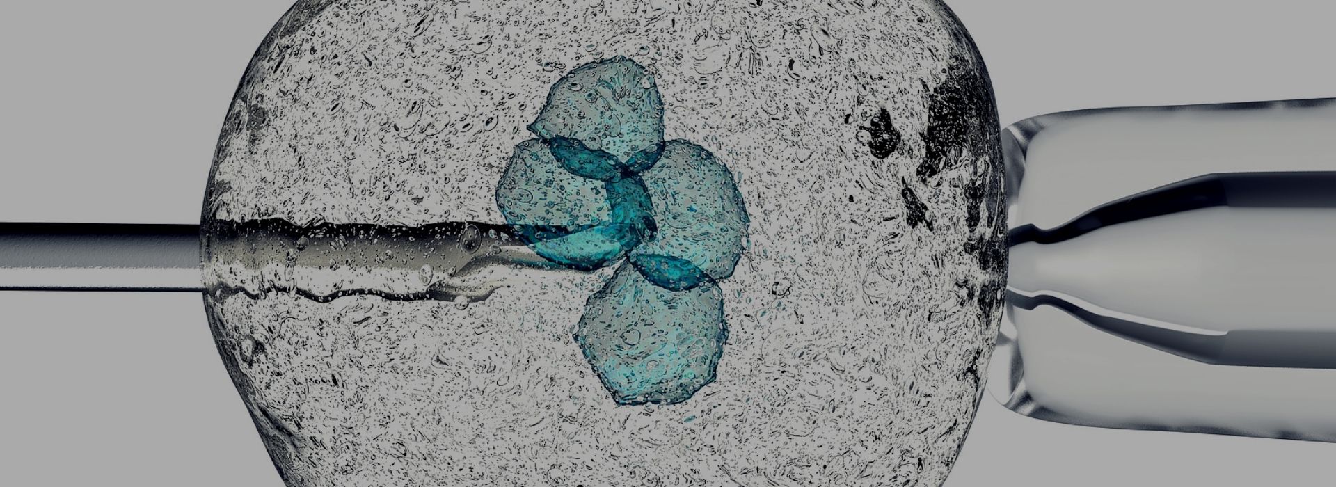 Highassay-high-quality-Tripeptide-1