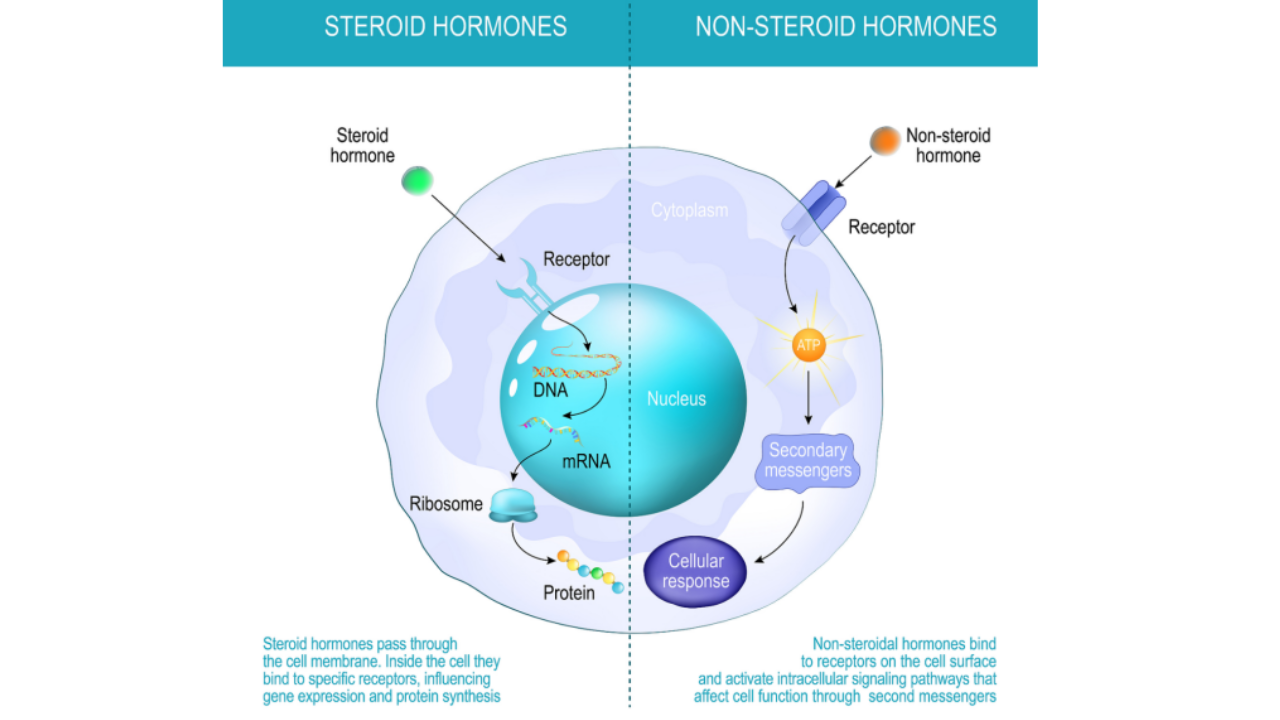 non-steroidal-anti-inflammatory-drugs
