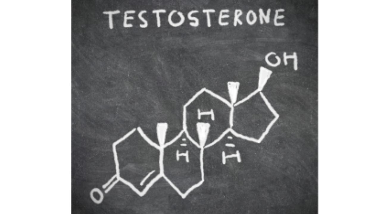 Terstosterone