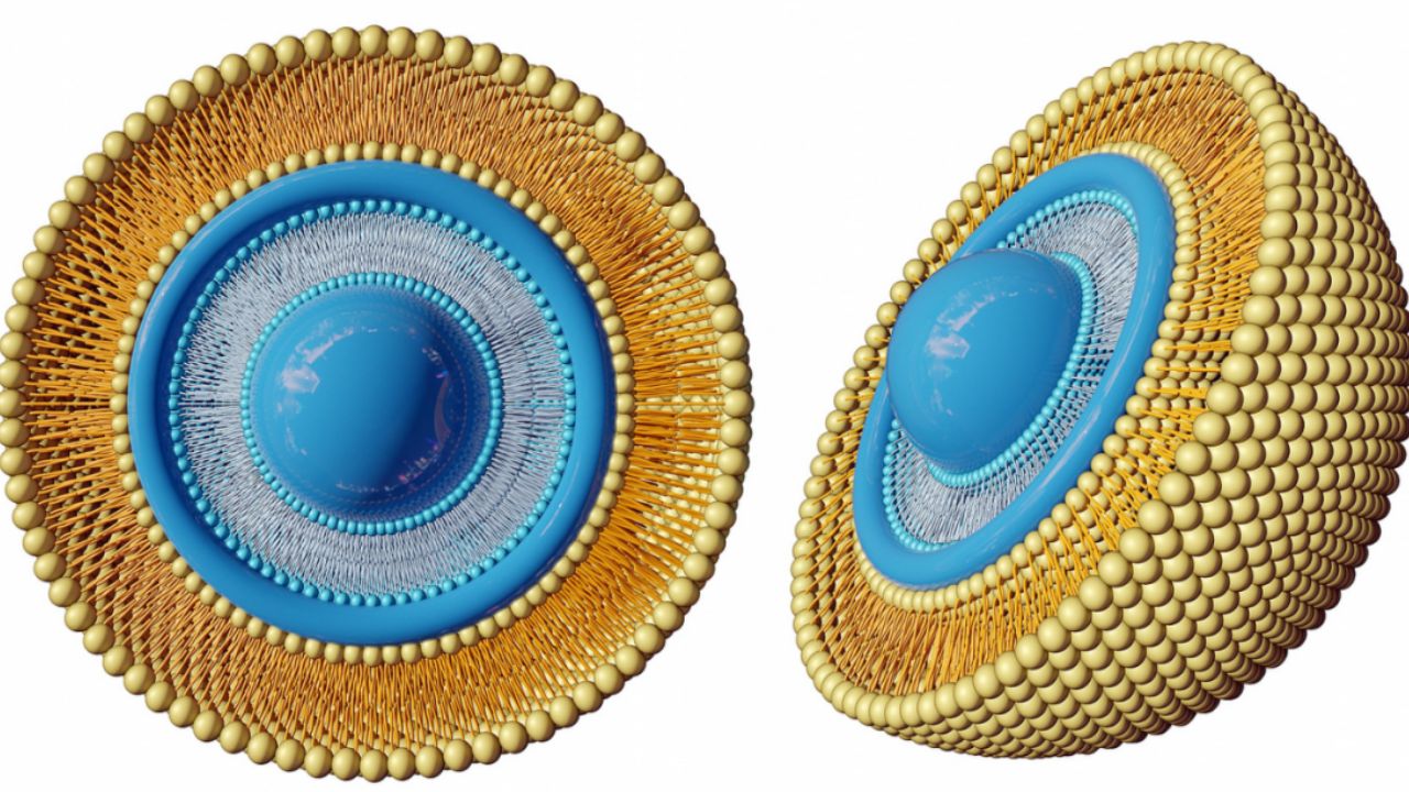 Promoters-and-Transcription-Initiation-in-Prokaryotes