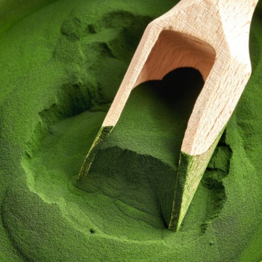 Organic Chlorella powder