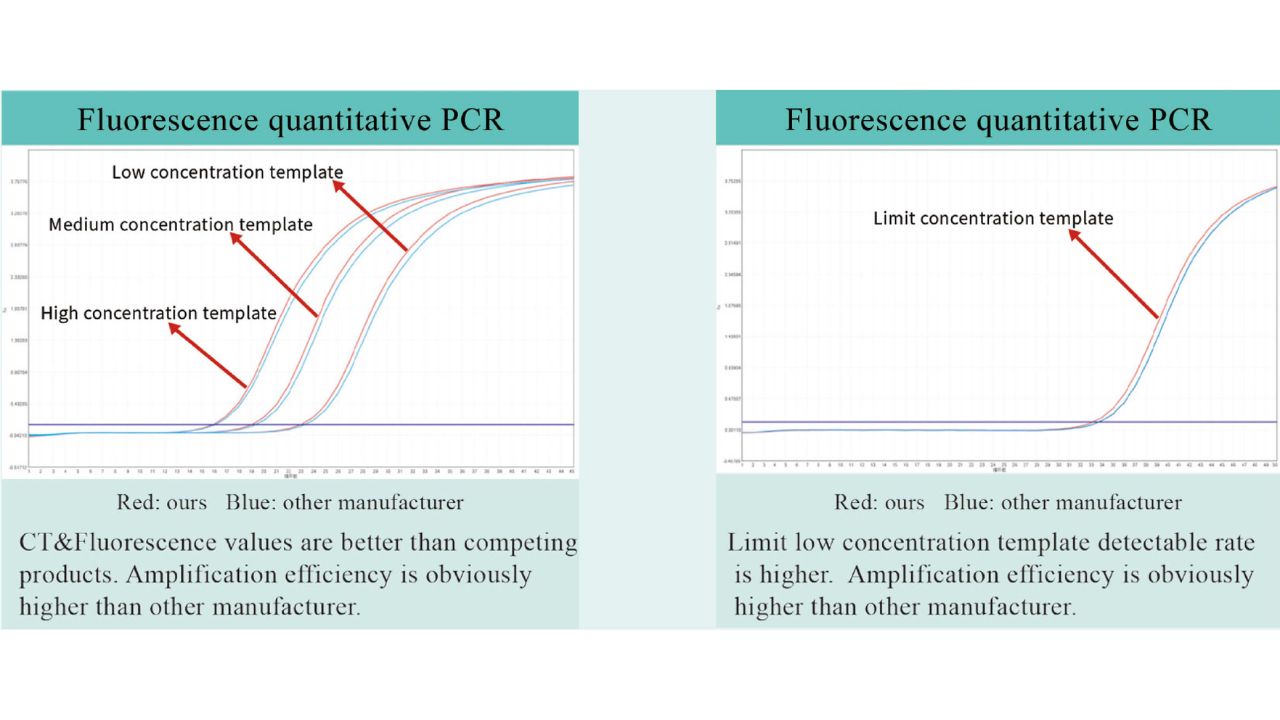 Fluorescence-quantitative-PCR